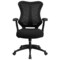 Emma and Oliver High Back Designer Mesh Executive Ergonomic Office Chair w/ Adjustable Arms